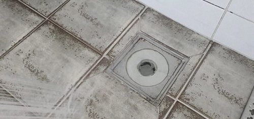 동래구 하수구막힘 사직동 하수구막힘 아파트 욕실 배수 직접 살펴보니 달랐던 점